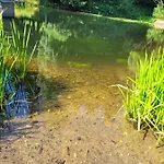Srub Na Svahu Sjezdovky V Radvanicich Radvanice (Hradec Kralove)