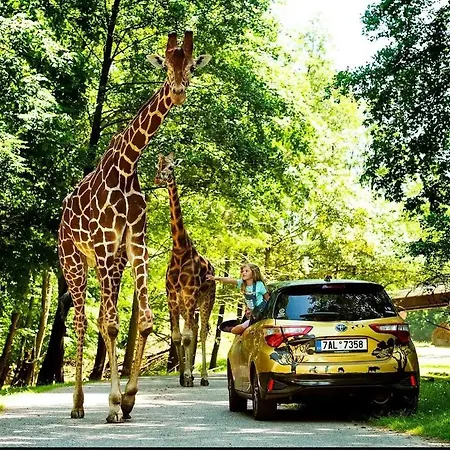 Srub Na Svahu Sjezdovky V Radvanicich Chalet Radvanice (Hradec Kralove)