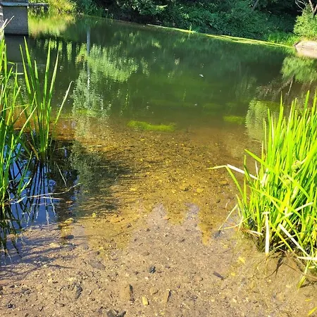 Srub Na Svahu Sjezdovky V Radvanicich Radvanice (Hradec Kralove)